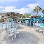 Coral Bliss-oasis Duna Corralejo