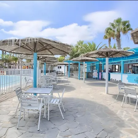Coral Bliss-oasis Duna Corralejo