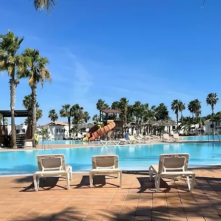 Coral Bliss-oasis Duna Corralejo
